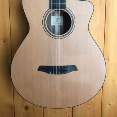 Furch GN2-CW Nylon ( LR BAGGS EAS VTC ) image 2