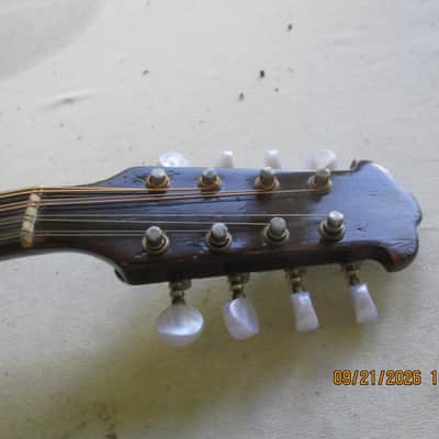 Neapolitan College of Music Lyre style Mandolin circa 1910 - Natural image 2