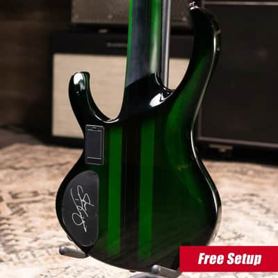 Ibanez Steve Di Giorgio Signature SDGB1-DMT 5-String Fretless Electric Bass - Dark Moss Burst image 2