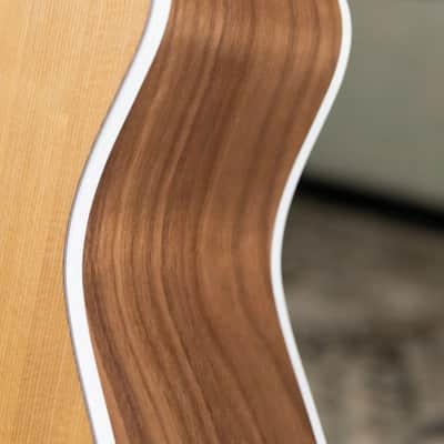 Taylor 214ce-N Nylon Grand Auditorium Acoustic/Electric Guitar with Gig Bag image 14