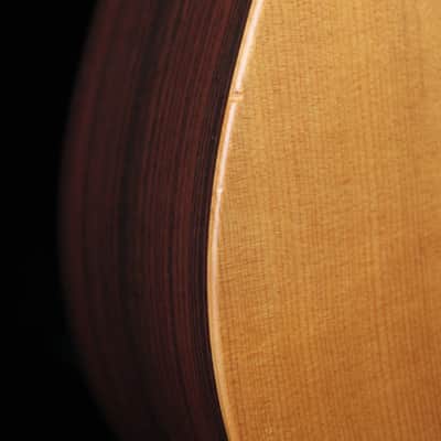 Martin DX1R Acoustic Dreadnought Pre-Owned w/Case image 7