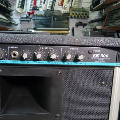 Peavey KB300 BW 300-Watt 1x15"  - Fully tested and revised image 7