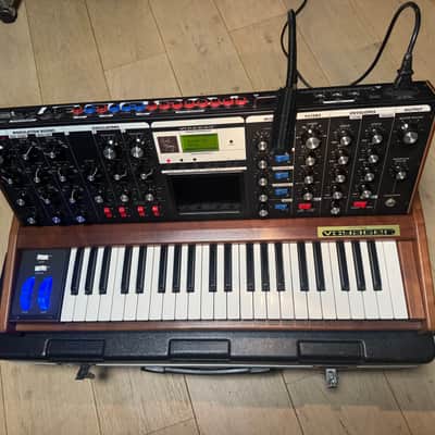 Moog Voyager signature 2002 - Wood modified image 4