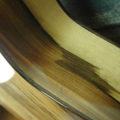 Taylor 714-ce Fall 2014 Limited Edition-Blackheart Sassafras image 13