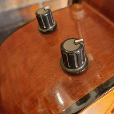 Harmony H160E Dreadnought Natural-Set Up image 9
