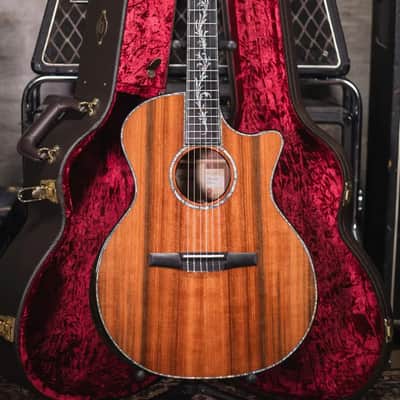 Taylor PS14ce-N Honduran Rosewood/Sinker Redwood Nylon Acoustic/Electric Guitar with Hardshell Case image 16