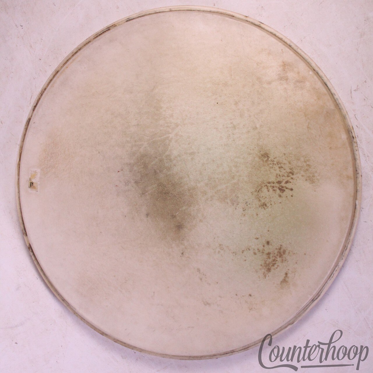 Leedy&Ludwig Snare/Floor Tom 14"Calf Skin Drum Batter Head Vintage 50s USA* — main photograph