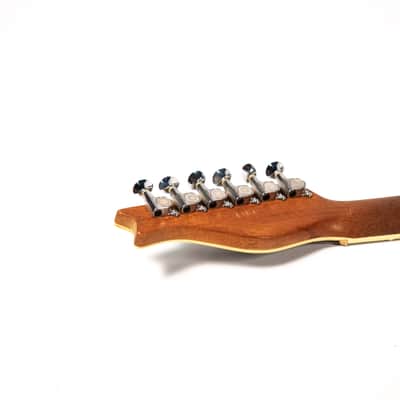 Hamburguitar Tele Style Guitar Owned by Mike Campbell image 20