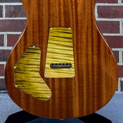 PRS Private Stock DGT, Dirty Blonde Glow, Wild West Coast Curly Maple Top, Ribbon Mahogany Body, Ziricote Neck & Fretboard image 8