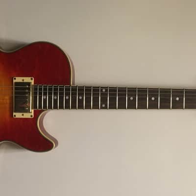 Jay Turser Semi-Hollowbody Electric Guitar image 2