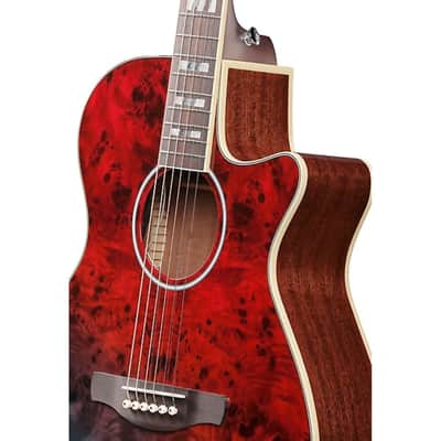 Ibanez AEGA250 USA 250th Anniversary Grand Auditorium Acoustic-Electric Guitar - America 250 image 4