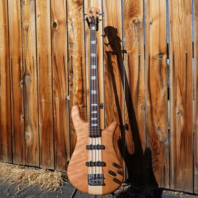 Spector USA NS-2 - Oiled Solid Cherry Wings 4-String Electric Bass Guitar w/ Black Tolex Case (NAMM 2024) image 2
