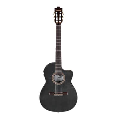 Ibanez GA3007CE Right-Hand Acoustic Electric Guitar with Hard Case (Natural High Gloss) image 1