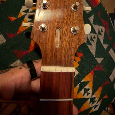 MJT and BA Ferguson Telecaster Les Paul Special Hybrid Body/Neck Combo image 5