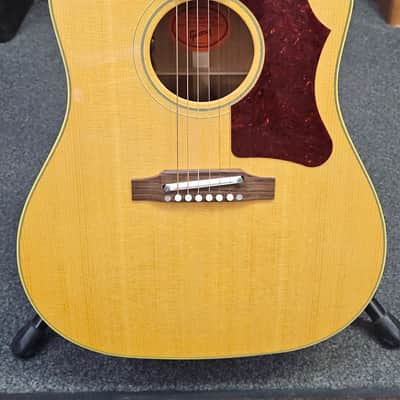 Gibson J-50 1960's image 2