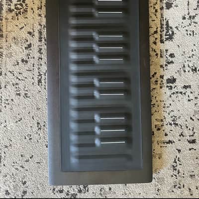 ROLI Seaboard RISE 25 2010s - Black image 5