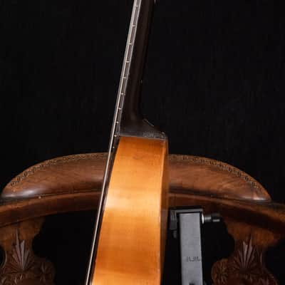 Original 19th Century Romantic Terz Guitar image 19