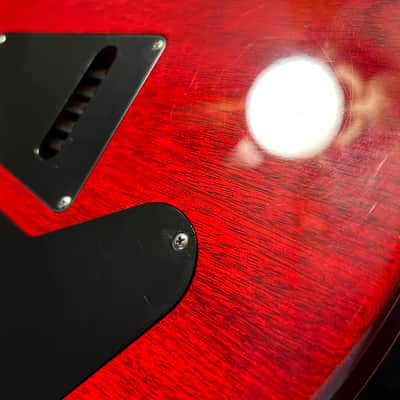 PRS DGT David Grissom Tremolo Signature 2008 - Present - Cherry Sunburst Bild 19