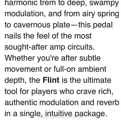 Strymon Flint Tremolo and Reverb V1 WOW WOW WOW image 7
