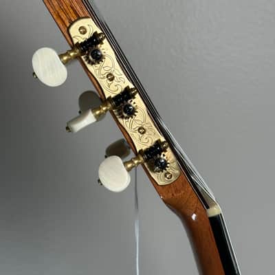 SAERS M900 Cocobolo 2025 - French polish image 7