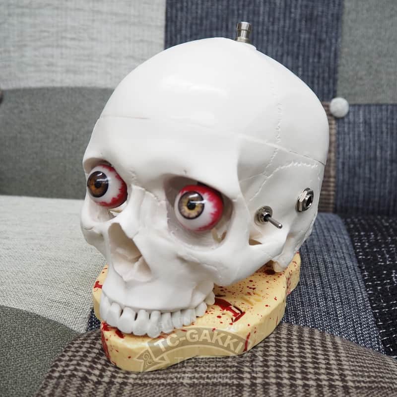 DR.NO effects Skull Fuzz “Original” image 1