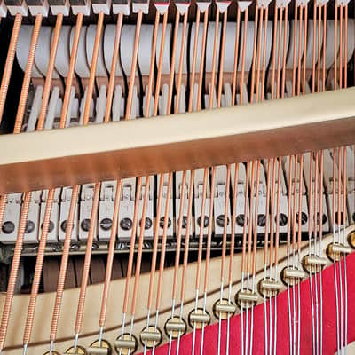 Steinway & Sons Concert Grand Piano image 18