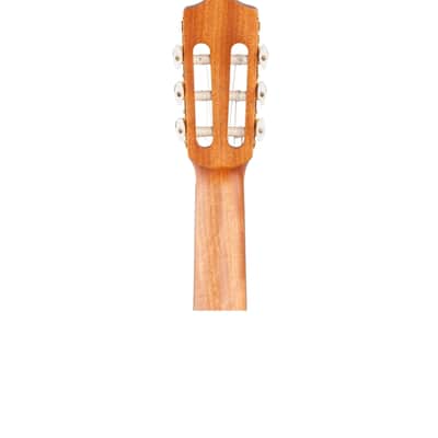 Cordoba Protege C1M Nylon Guitar Three Quarter Size image 7