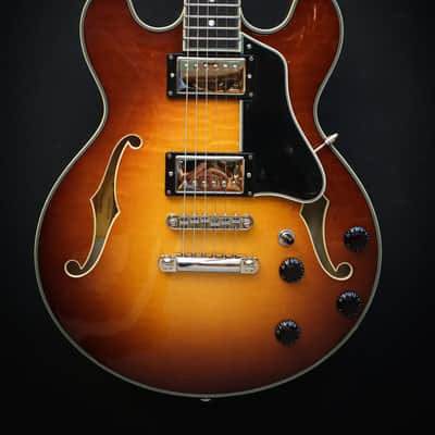 Eastman T484 Goldburst Bild 3