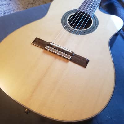 Alvarez Cadiz Series CC7HCE | E18110712 |  Sitka Spruce & Walnut image 5