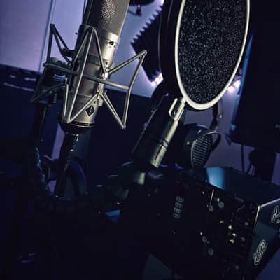 Stam Audio SA87i (Neumann U87i Vintage) image 2