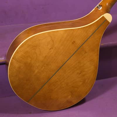 2010s Trinity College TM-375 Irish Bouzouki (As-new! w/OHSC! Fresh Setup, Ready to Go) image 8