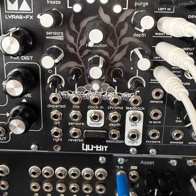 Qu-Bit Electronix Nautilus | Reverb