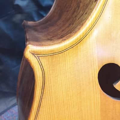 Shen 3/4 Double Bass-Bass Violin-Upright Bass-Model SB 150-Like New-Custom Set Up image 4