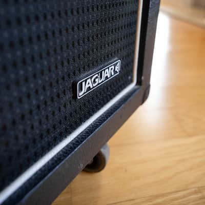Dimebag's Actual Randall Jaguar Cabinet image 2