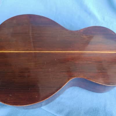 all original 1892 Washburn Parlor Adirondack Top Brazilian rosewood image 2