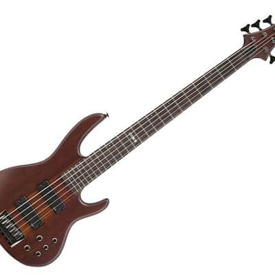 ESP LTD D-5 (2007 - 2018)
