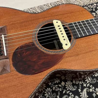 Rasmussen Parlor - Cedar top - Hi gloss natural image 9