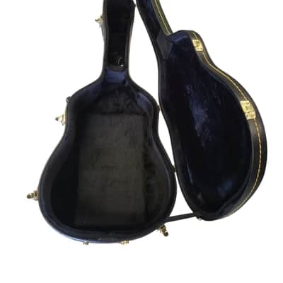 Hardshell Dreadnaught Acoustic Guitar Case image 2