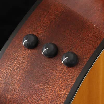 TAYLOR 312ce ES2 [1108075029] (08/17) imagen 2
