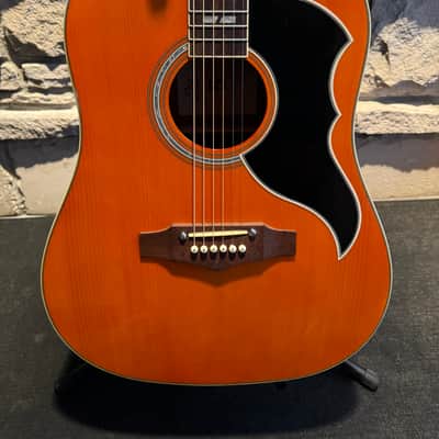 Eko Ranger 6 VR 2010s - Honey Burst image 5