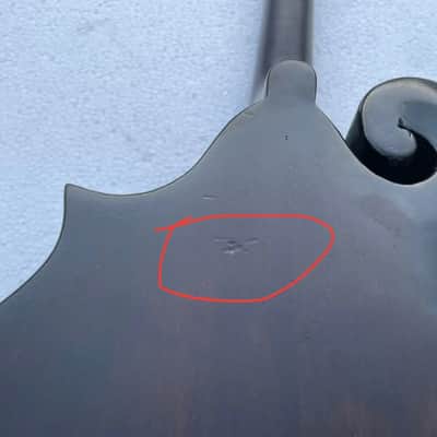 Washburn 8 String Mandolin Project in Black, Solid Spruce Top, Solid Mahogany Body image 5