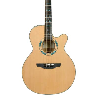 Takamine Limited 2023 Santa FE image 1
