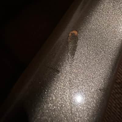 Fender Contemporary Jazz Bass Special 1985 - 1990 - Pewter image 6