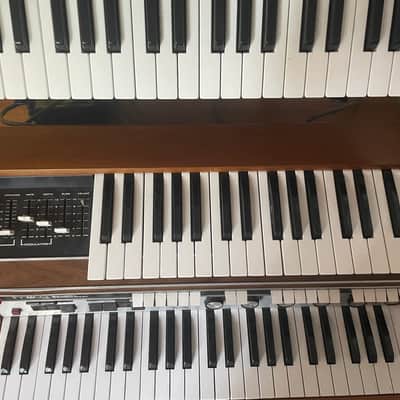 Moog Satellite 1973 - 1979 - Black