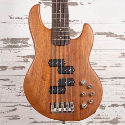 Alien Audio Constellation 5 String Bass - Satin Natural image 2