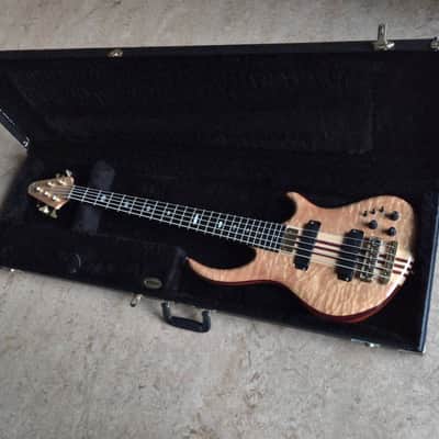 Alembic Roque 5 image 10