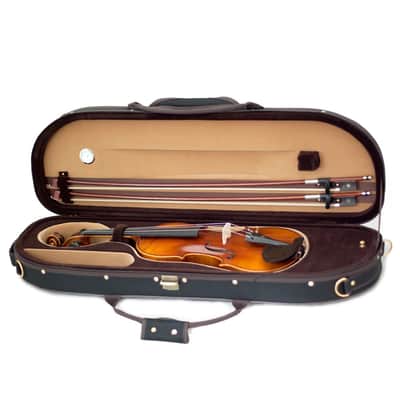 Sky Artist 500 Series 4/4 Concert Violin, Case and Accessory Package image 4