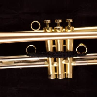 Show Demo Adams A8 Ergonomic Trumpet in Satin Lacquer image 14