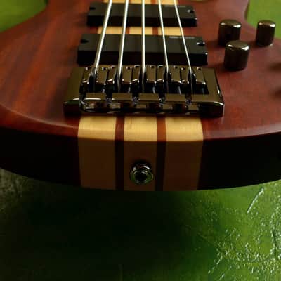 ESP LTD B-5E Neck-thru active 5-string bass (Mahogany top version) image 11