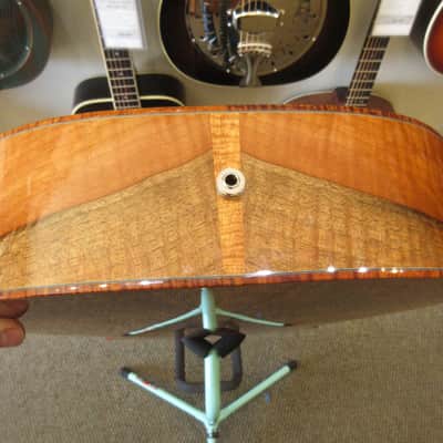 Morgan Concert Custom 2008 image 17
